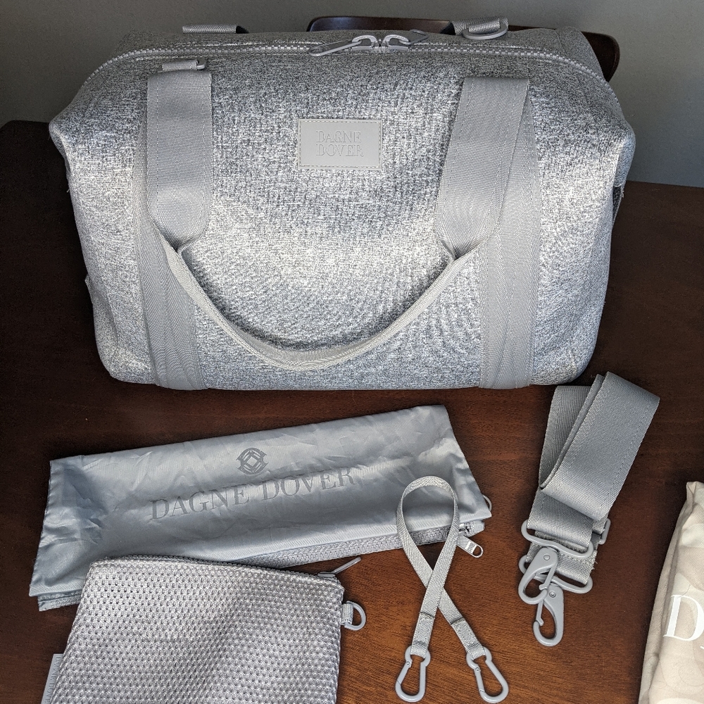 Dagne Dover Silver Travel Bag